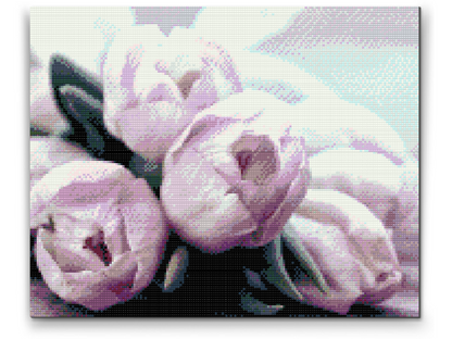 Diamond Painting - Lilla tulipaner på bordet