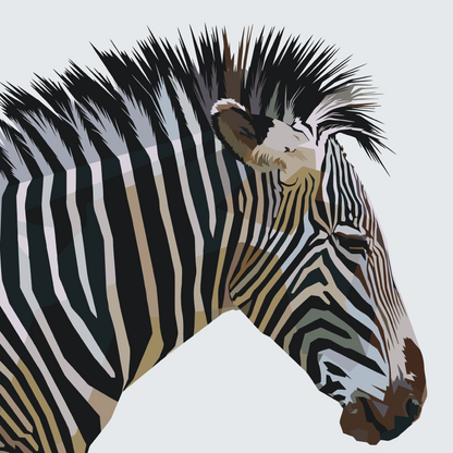 Paint by Numbers - Kubistisk Zebra