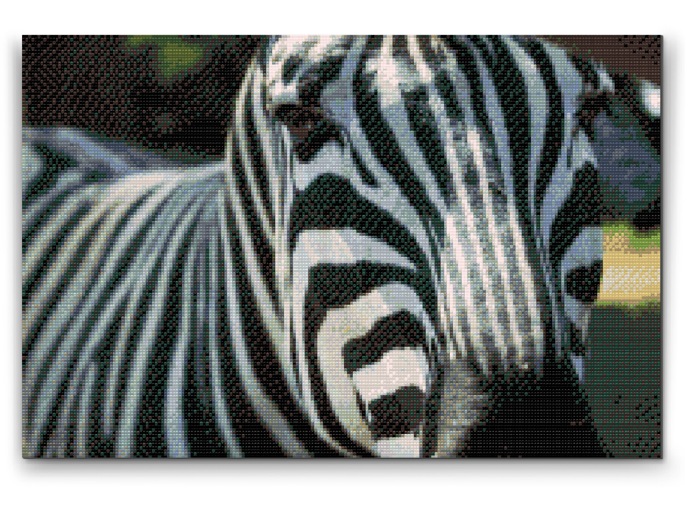 Diamond Painting - Fokuseret på Zebraen