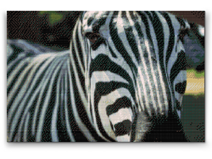 Diamond Painting - Fokuseret på Zebraen