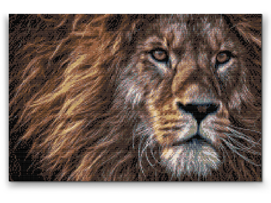 Diamond Painting - Løvens rovdyrsudseende