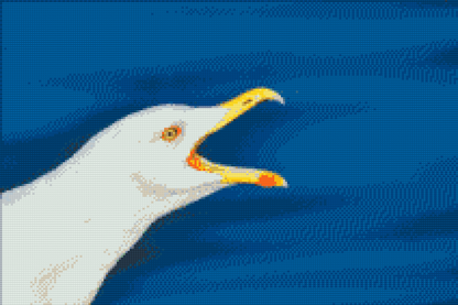Diamond Painting - Seagul