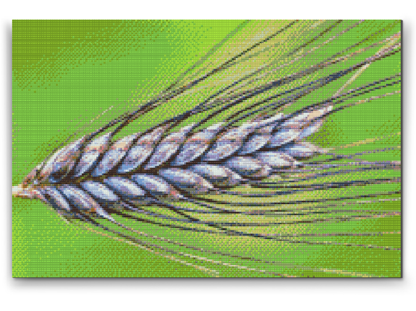 Diamond Painting - Korn