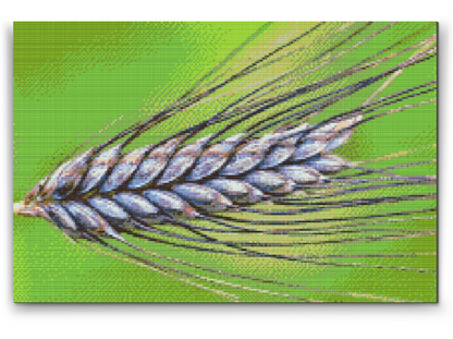 Diamond Painting - Korn