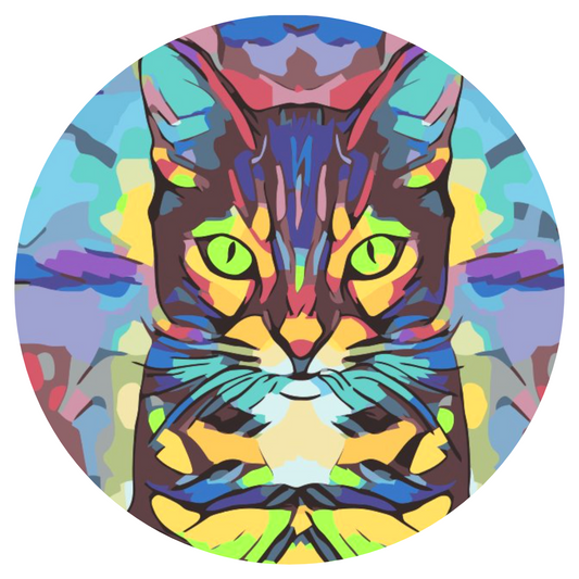 Paint by Numbers - Farverig Kat