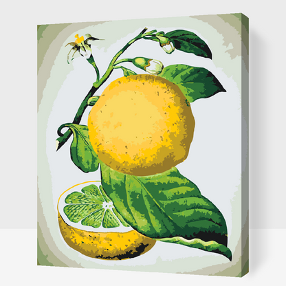 Paint by Numbers - Frisk citron