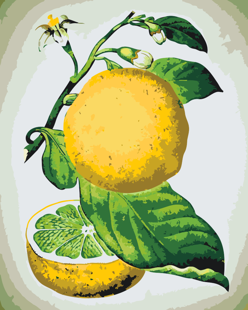 Paint by Numbers - Frisk citron