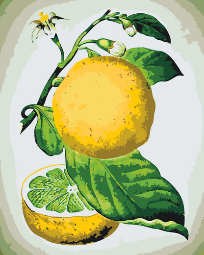 Paint by Numbers - Frisk citron