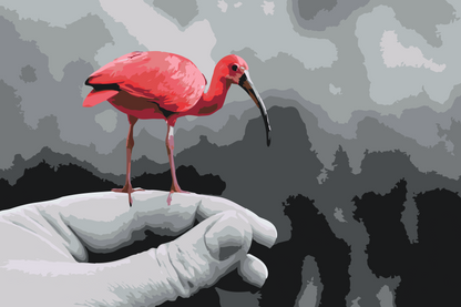 Paint by Numbers - Flamingo på hånden