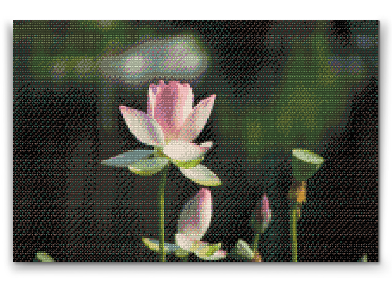 Diamond Painting - Lotusblomst