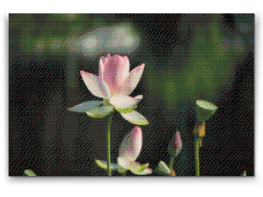 Diamond Painting - Lotusblomst