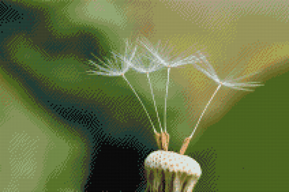 Diamond Painting - Mælkebøtte