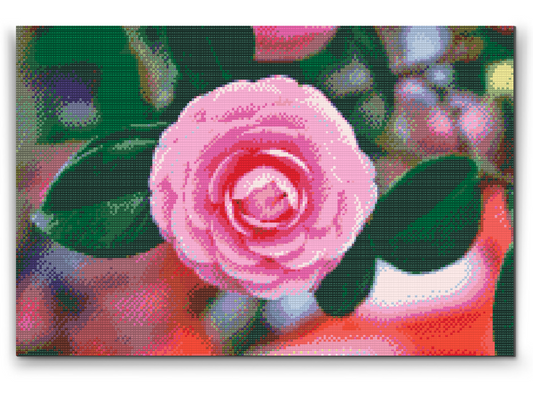 Diamond Painting - Pink Camellia