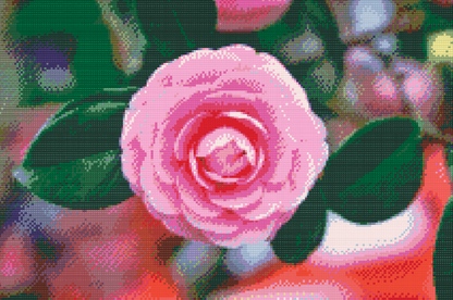 Diamond Painting - Pink Camellia