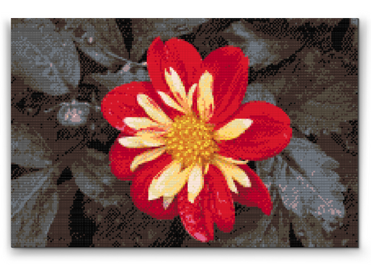 Diamond Painting - Rød Blomst