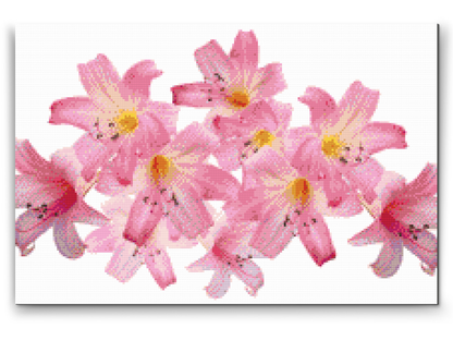 Diamond Painting - Pink Lilies 2