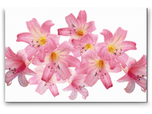 Diamond Painting - Pink Lilies 2