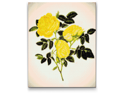 Diamond Painting - Vilde gule roser