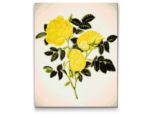 Diamond Painting - Vilde gule roser