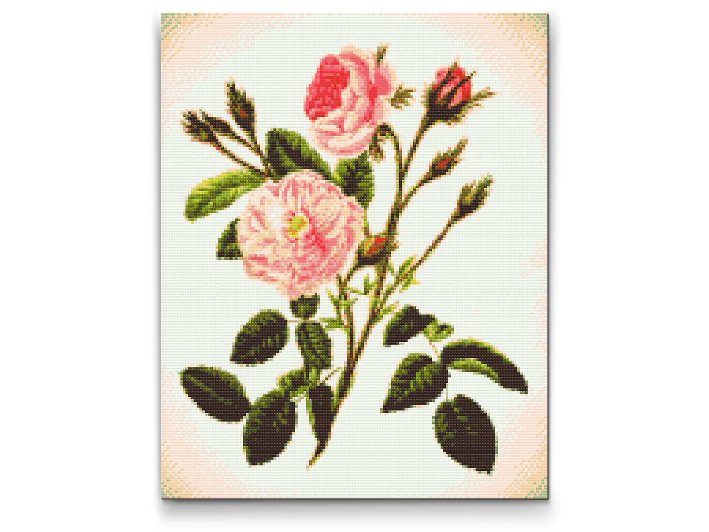 Diamond Painting - Vilde lyserøde roser