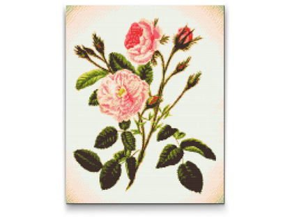Diamond Painting - Vilde lyserøde roser