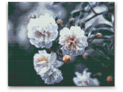 Diamond Painting - Blomstrende hvide roser