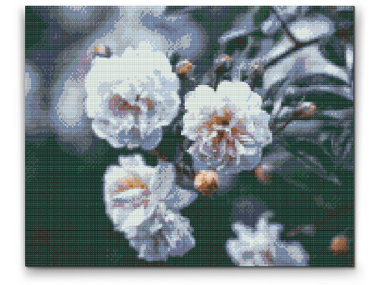 Diamond Painting - Blomstrende hvide roser