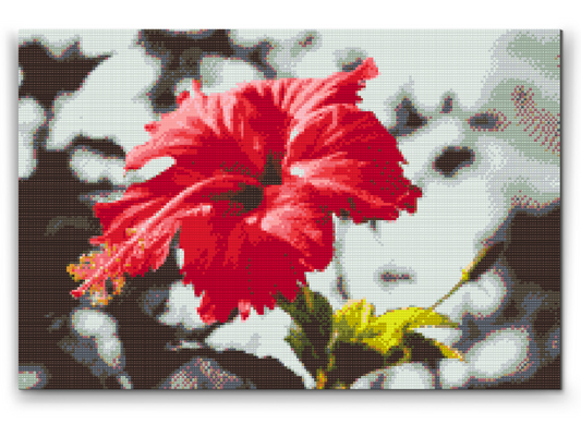 Diamond Painting - Rød blomst i grå baggrund