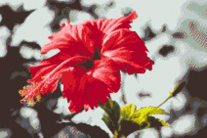 Diamond Painting - Rød blomst i grå baggrund