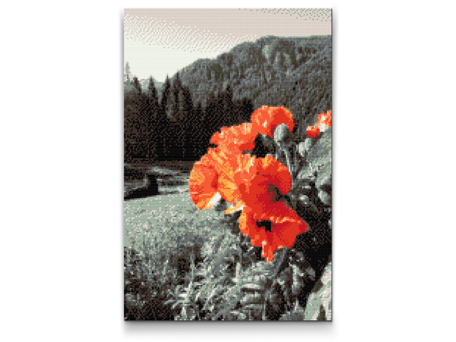 Diamond Painting - Valmue i bjergene