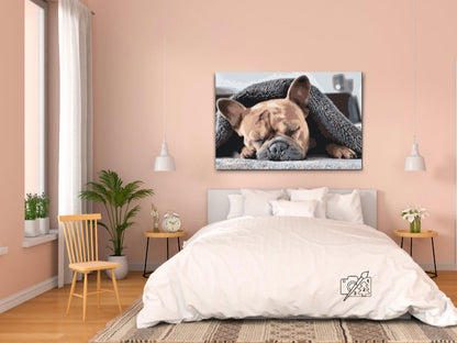 Paint by Numbers - Træt Bulldog
