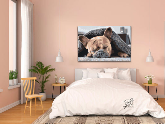 Paint by Numbers - Træt Bulldog