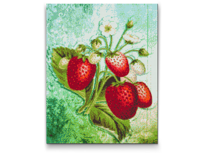 Diamond Painting - Jordbærsæsonen