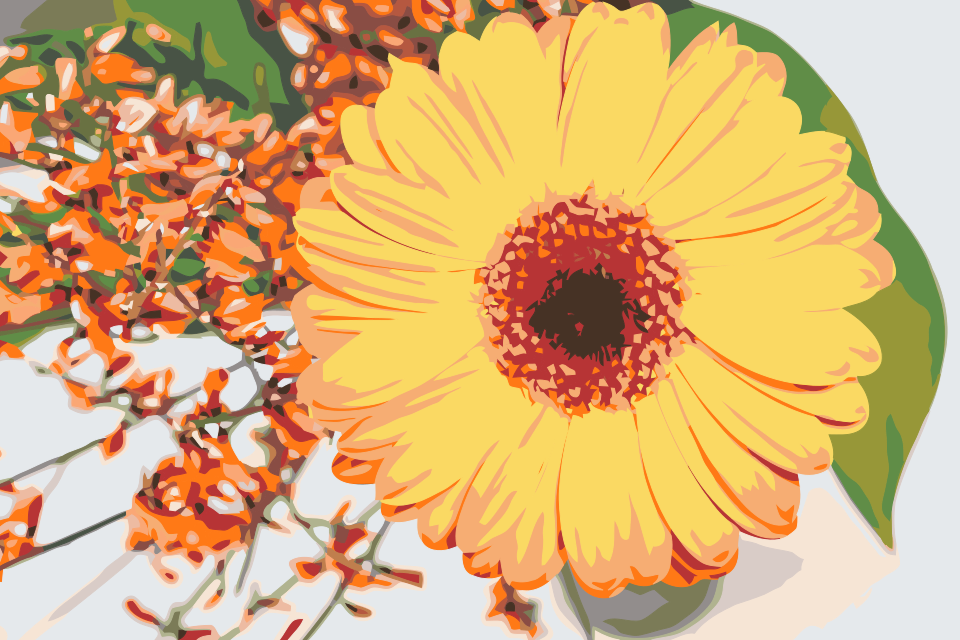 Paint by Numbers - Gerbera