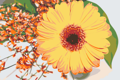 Paint by Numbers - Gerbera