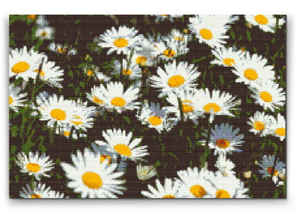 Diamond Painting - Margueritter på engen