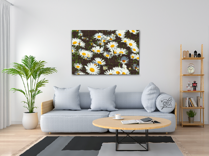 Diamond Painting - Margueritter på engen