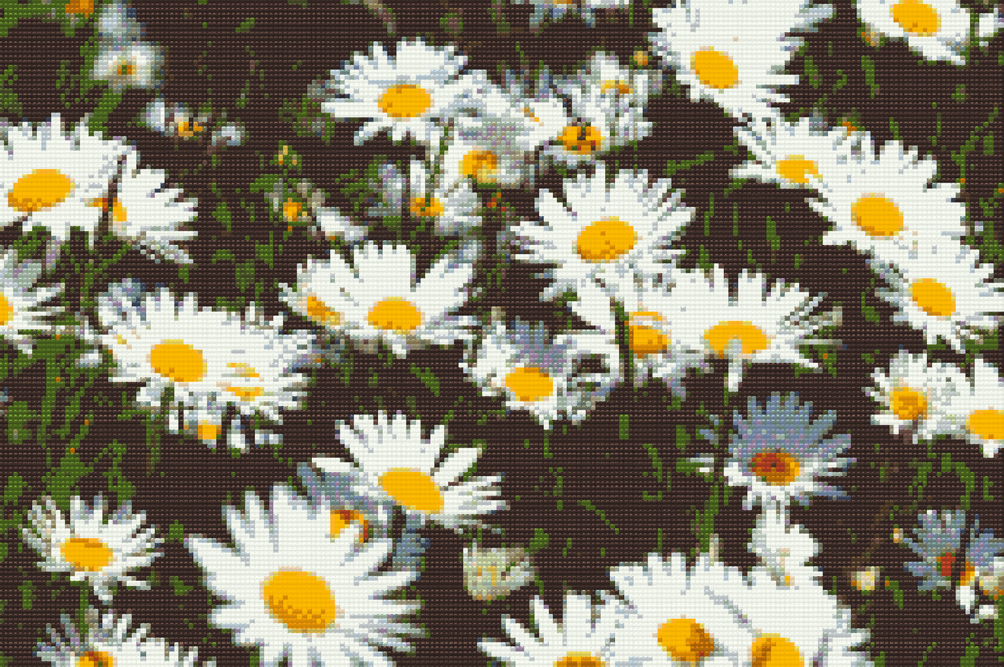 Diamond Painting - Margueritter på engen