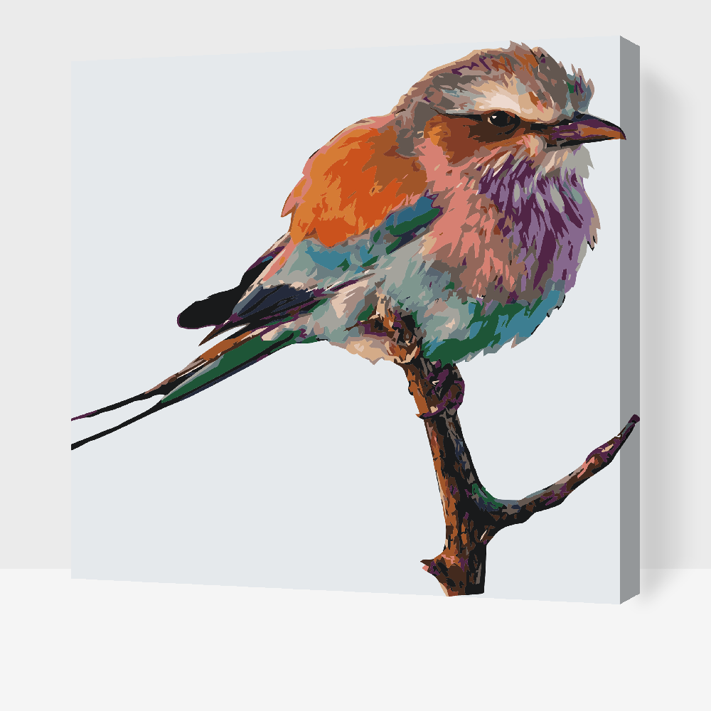 Paint by Numbers - Fugl