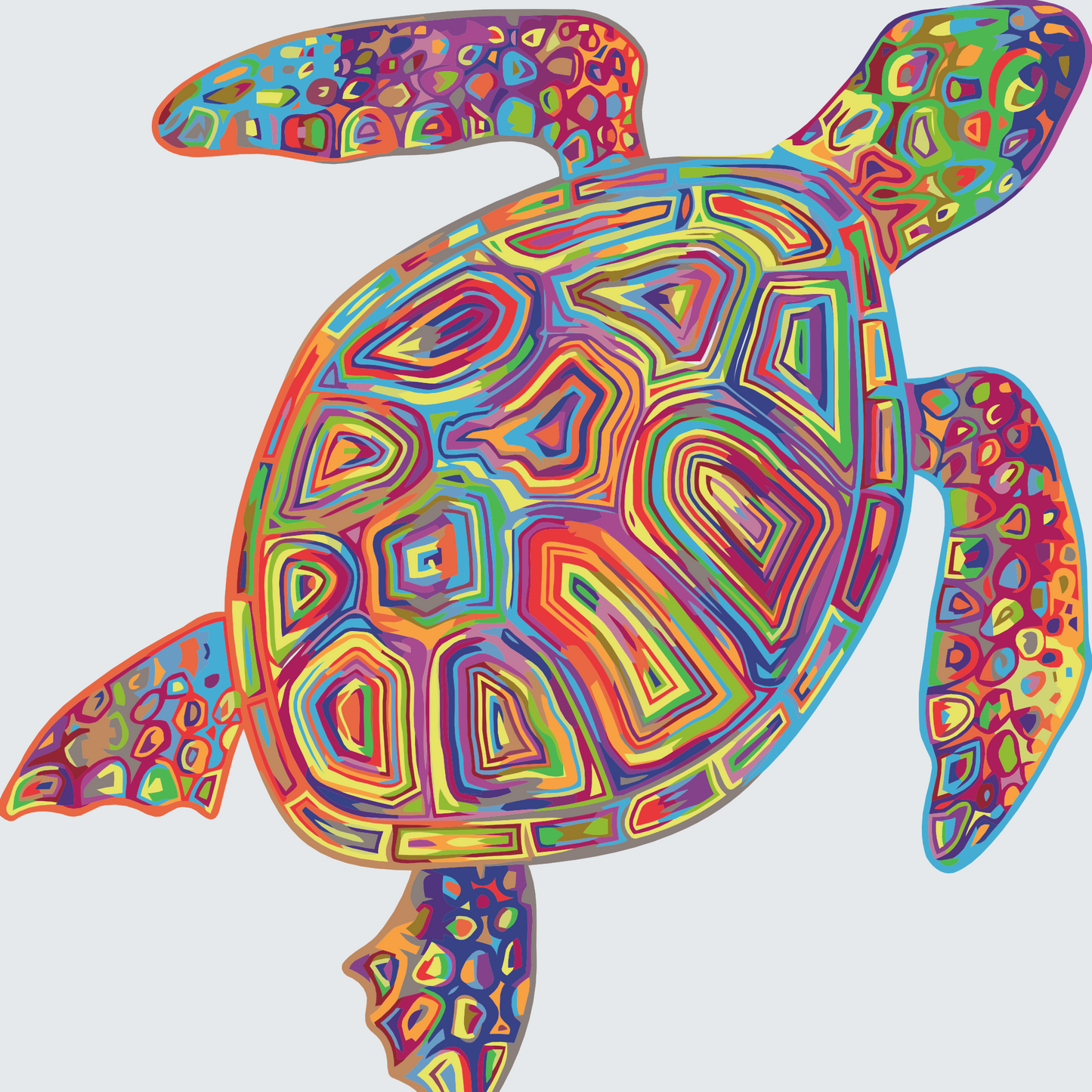 Paint by Numbers - Regnbueskildpadde