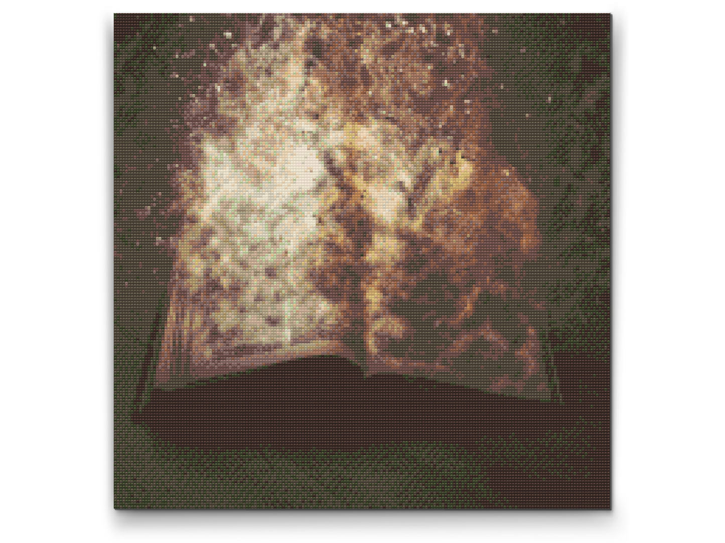 Diamond Painting - Burning Book