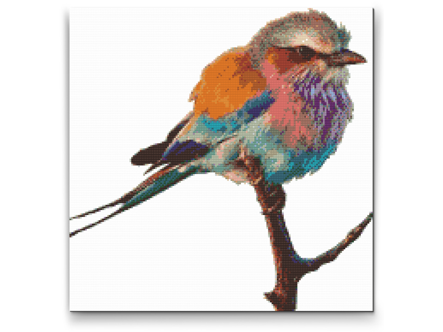Diamond Painting - Fugl