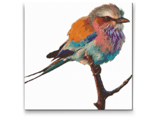 Diamond Painting - Fugl