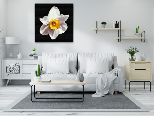 Diamond Painting - Narcissusblomst