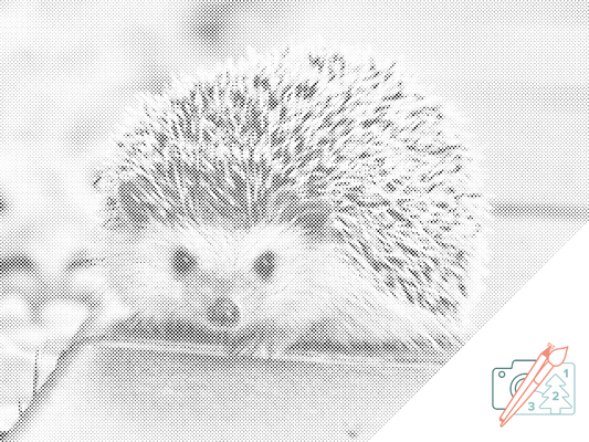 Mal-med-prikker -  Pindsvinets Natvæsen