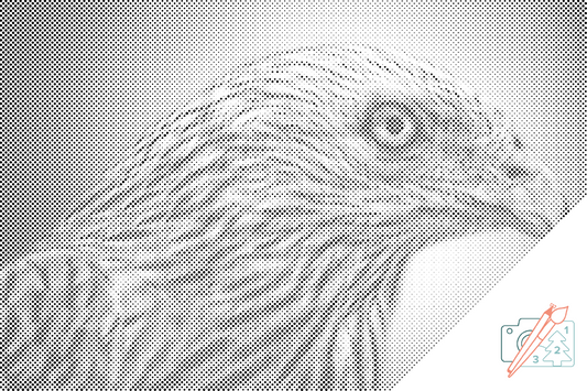 Mal-med-prikker -  Ørn