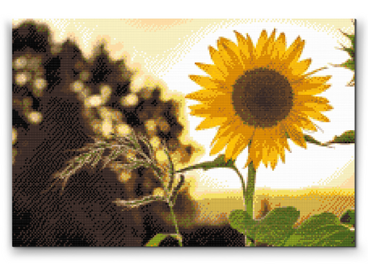 Diamond Painting - Sangblomster på engen