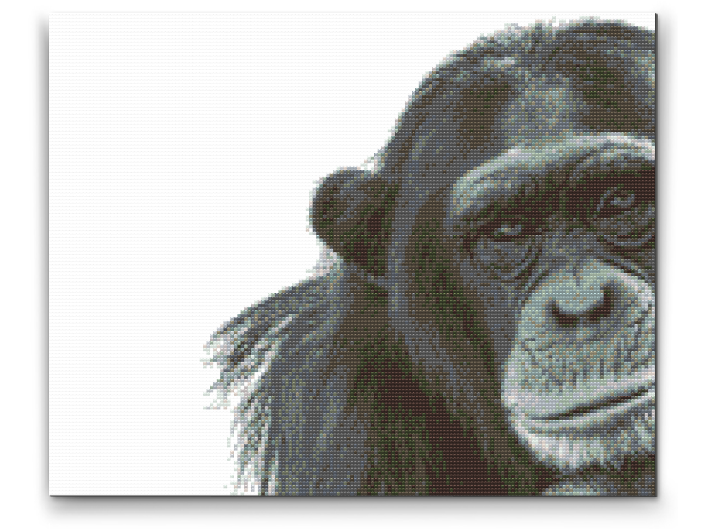 Diamond Painting - Chimpanse