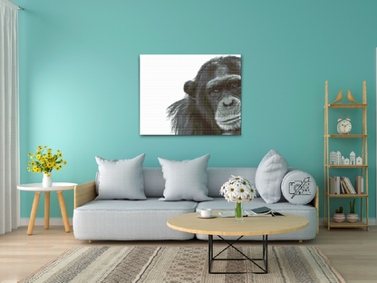 Diamond Painting - Chimpanse