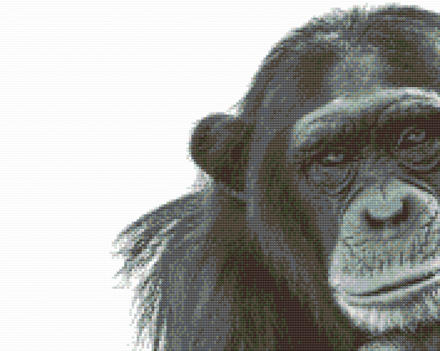 Diamond Painting - Chimpanse
